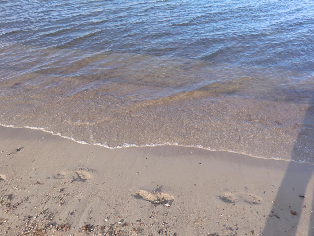 Boeltser Hus Ferienwohnungen Mit Strandkorb Und Kamin 10 Gehminuten Zum Kurtaxefreien Sandstrand Kraksdorf Zewnętrze zdjęcie